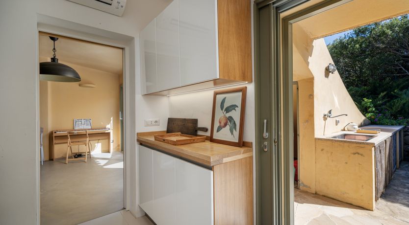 Photo of Lemons in the Sun