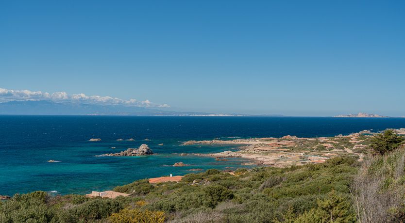 Photo of Lemons in the Sun