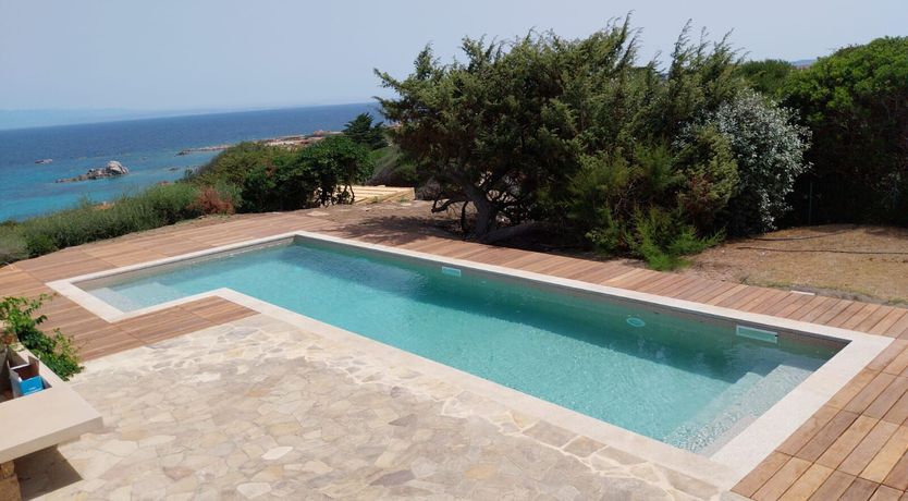 Photo of Lemons in the Sun