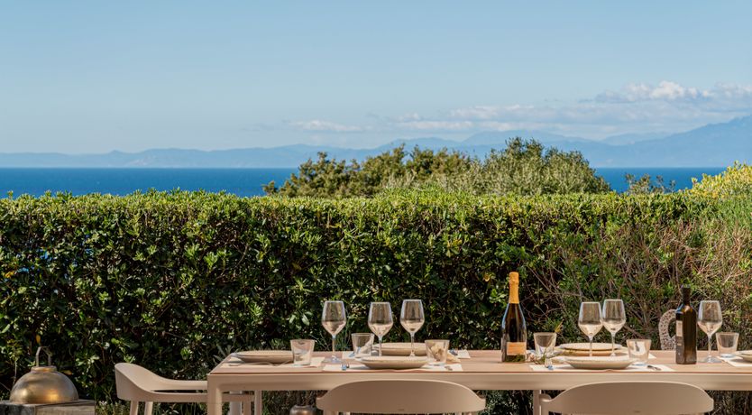 Photo of Lemons in the Sun