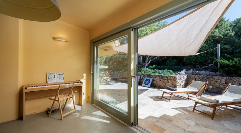 Photo of Lemons in the Sun