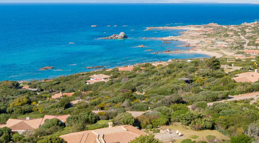 Photo of Lemons in the Sun