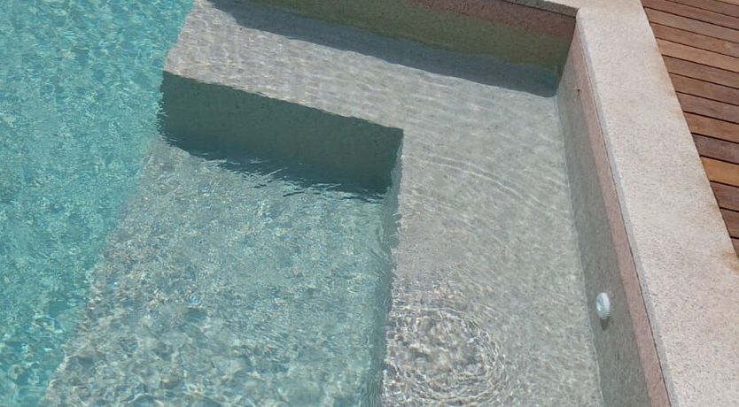 Photo of Lemons in the Sun