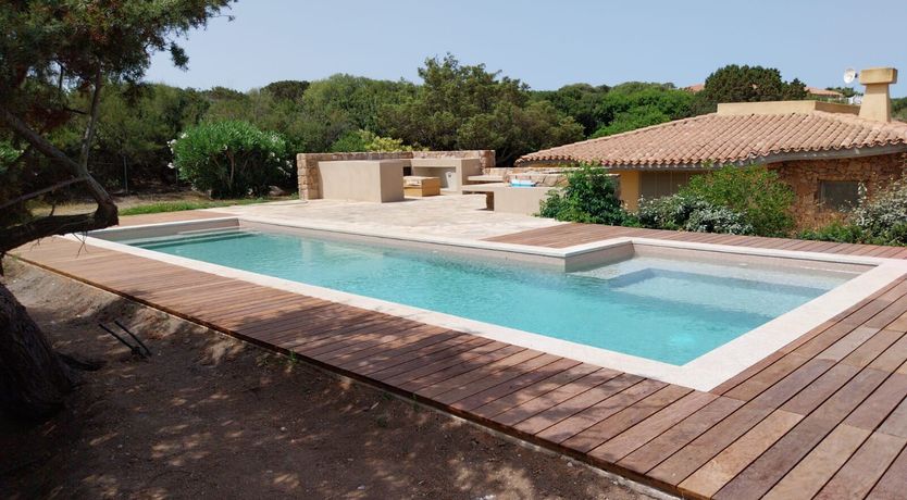 Photo of Lemons in the Sun