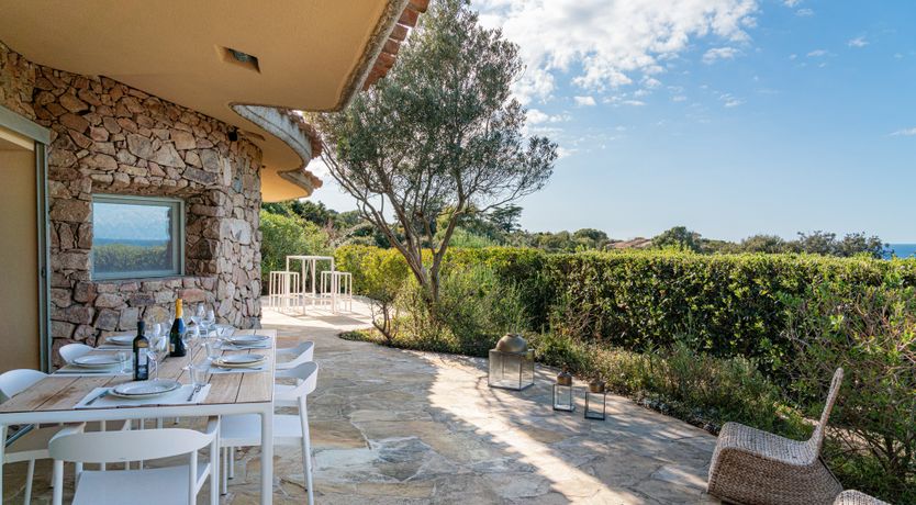 Photo of Lemons in the Sun