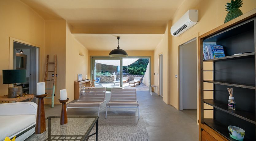 Photo of Lemons in the Sun