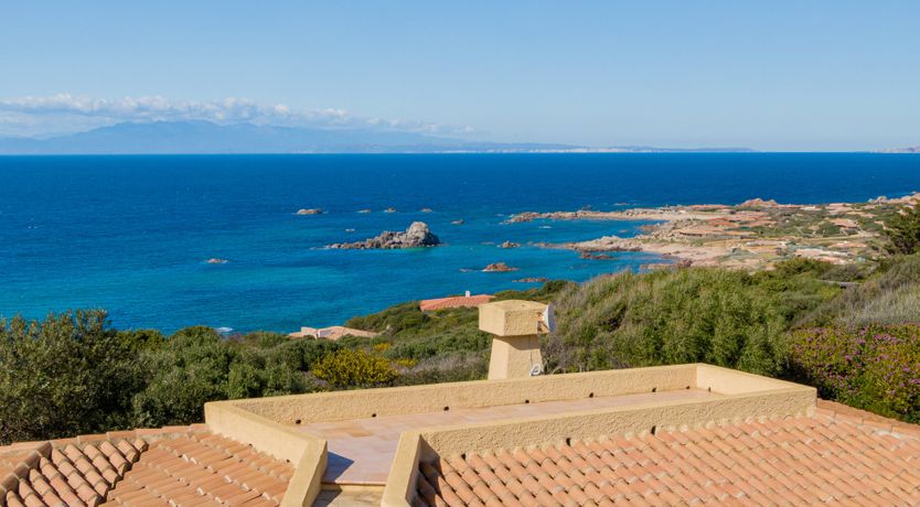 Photo of Lemons in the Sun