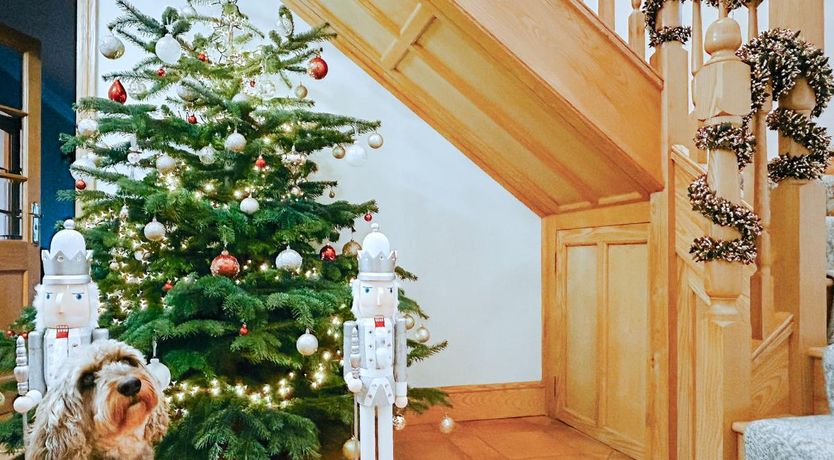 Photo of 6 Bed in Higher Clovelly