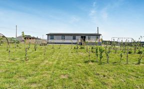 Photo of in Livingston  (91829)