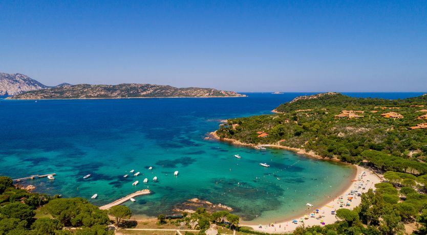 Photo of Sardinian Starlight