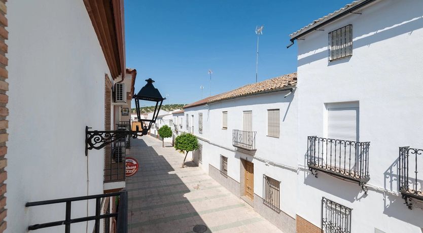 Photo of Olives & Pines