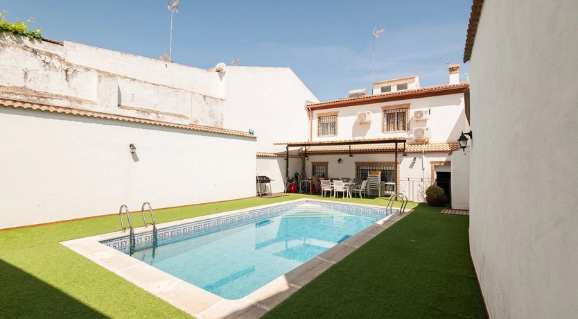 Photo of Olives & Pines