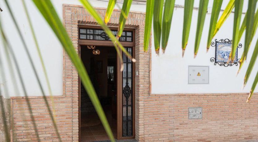 Photo of Olives & Pines