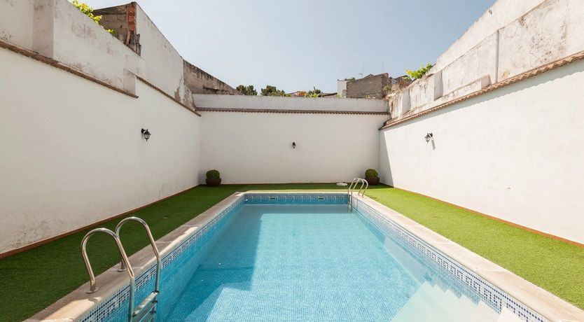 Photo of Olives & Pines