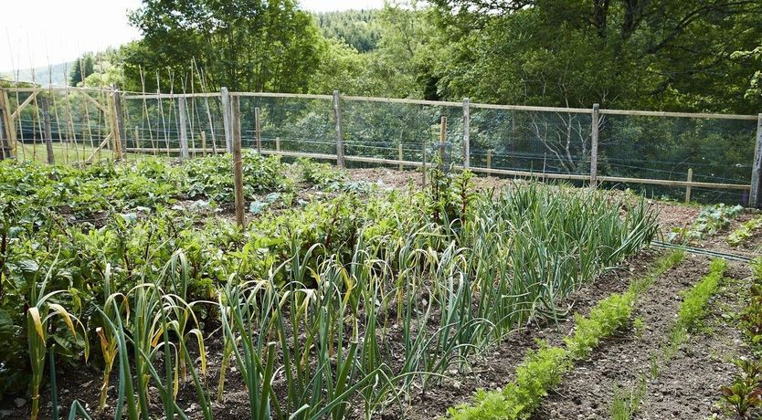 Photo of Green Finger Lodge