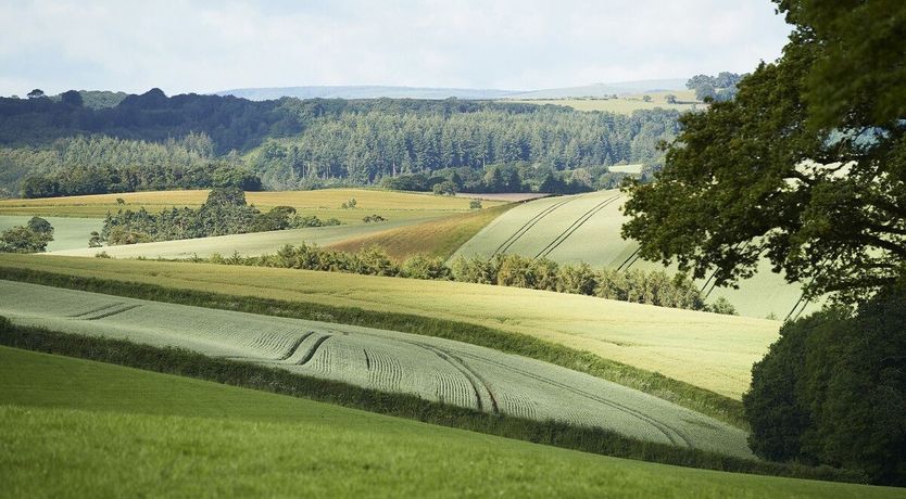 Photo of Green Finger Lodge