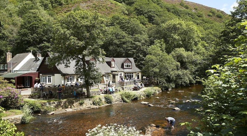 Photo of Green Finger Lodge