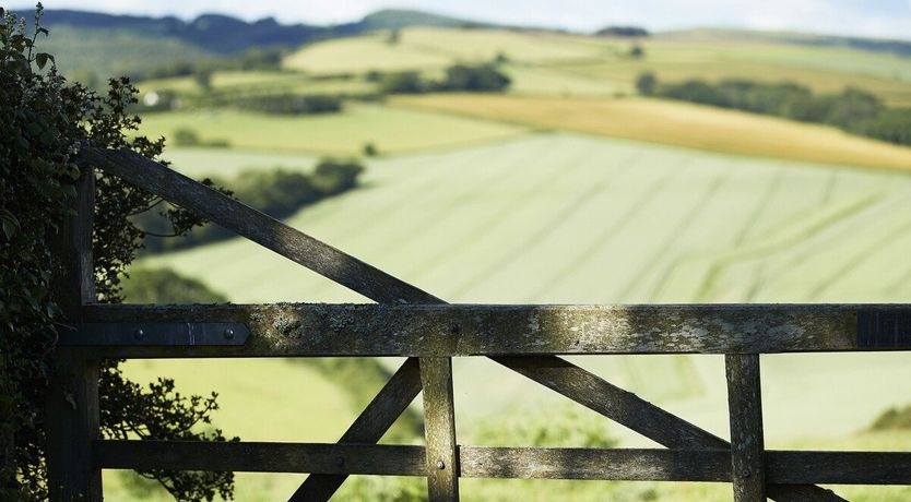 Photo of Green Finger Lodge