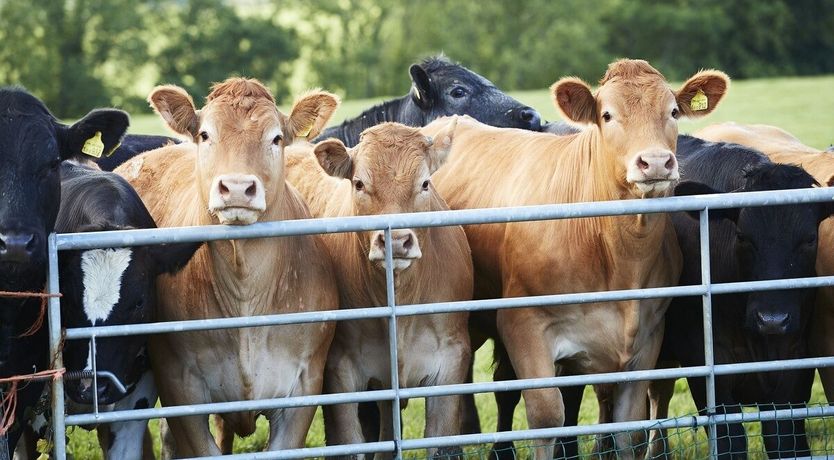 Photo of Green Finger Lodge