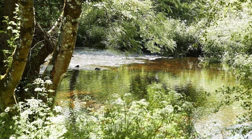 Photo of Green Finger Lodge