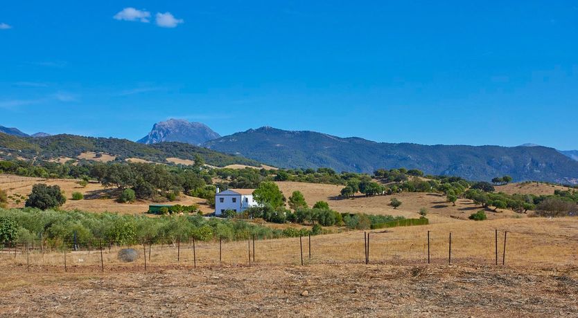 Photo of Indigo Paradise