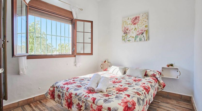 Photo of Indigo Paradise