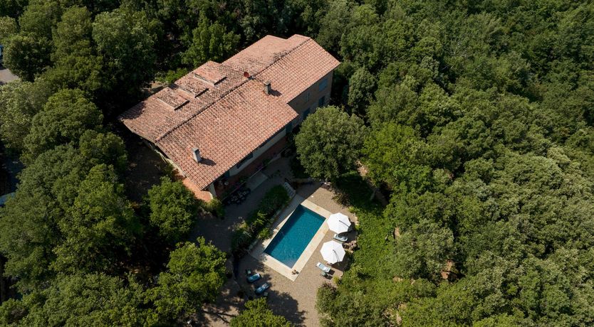 Photo of Tranquil Days