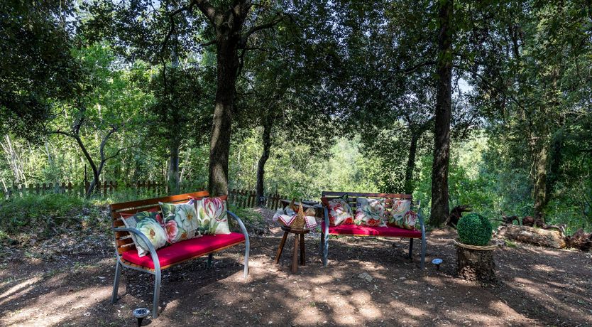 Photo of Tranquil Days