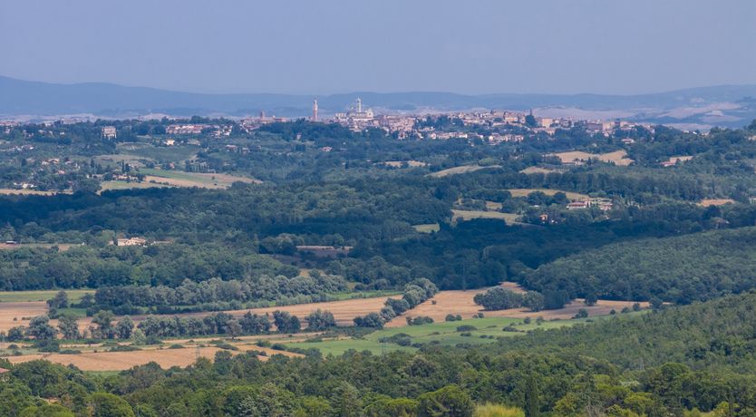 Photo of Tranquil Days