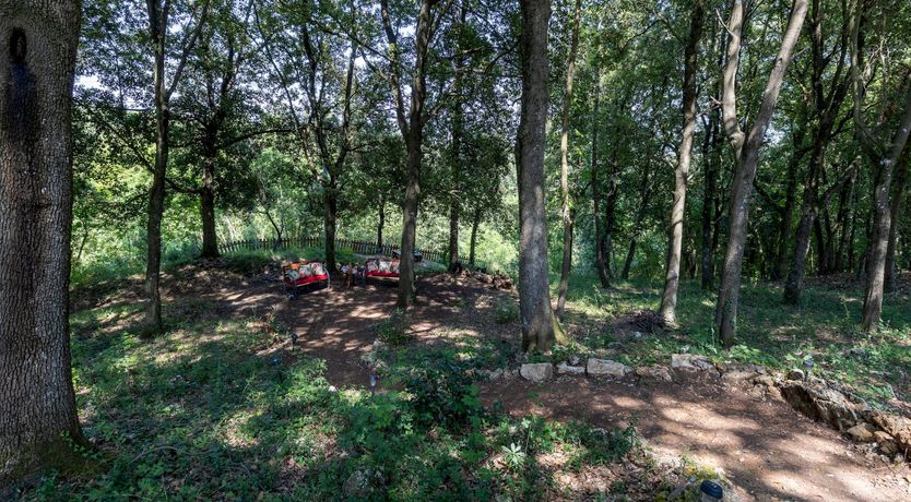 Photo of Tranquil Days