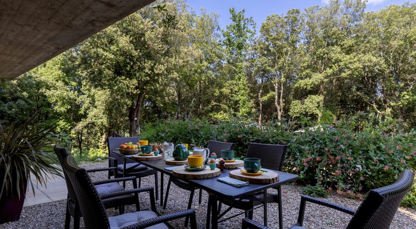 Photo of Tranquil Days