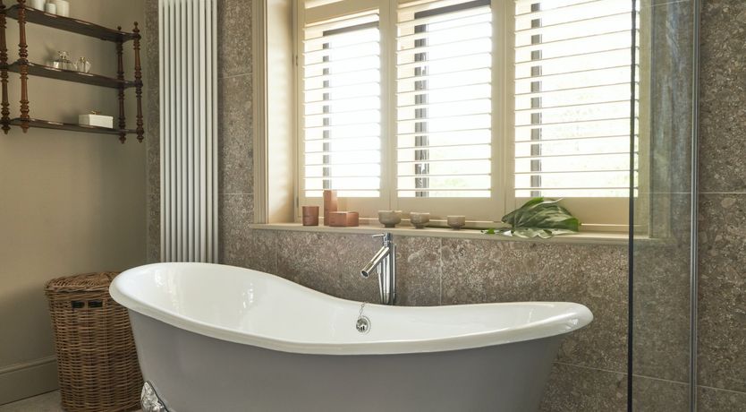 Photo of Wild Honey Bee