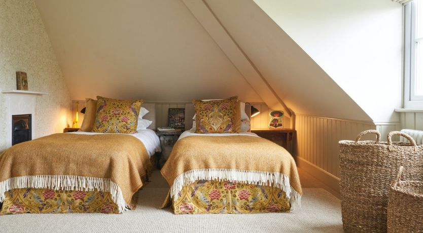 Photo of Wild Honey Bee