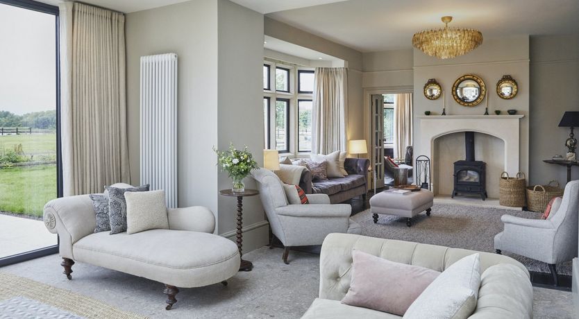 Photo of Wild Honey Bee