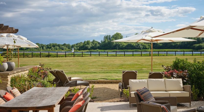 Photo of Wild Honey Bee