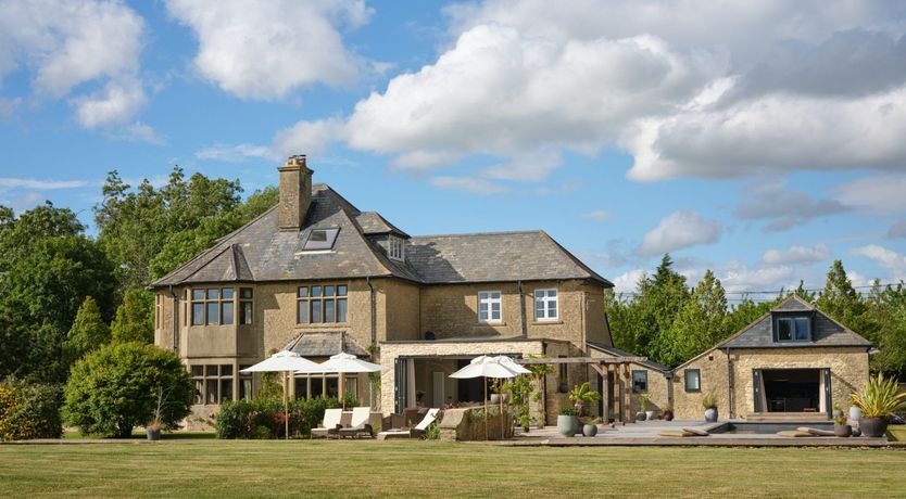 Photo of Wild Honey Bee