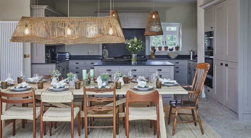 Photo of Wild Honey Bee