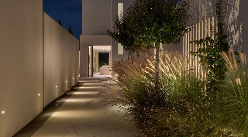 Photo of The Peony Blossom