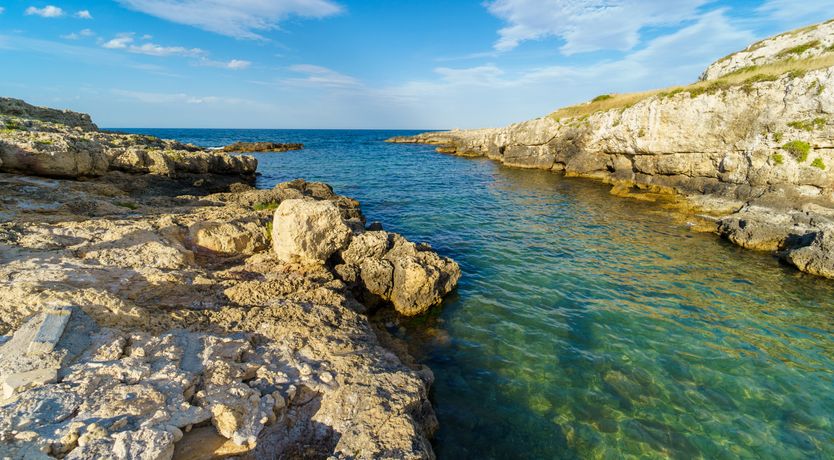 Photo of Emerald Green Augusta