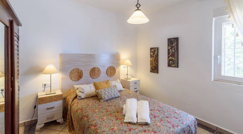 Photo of The Vine of the Mountain