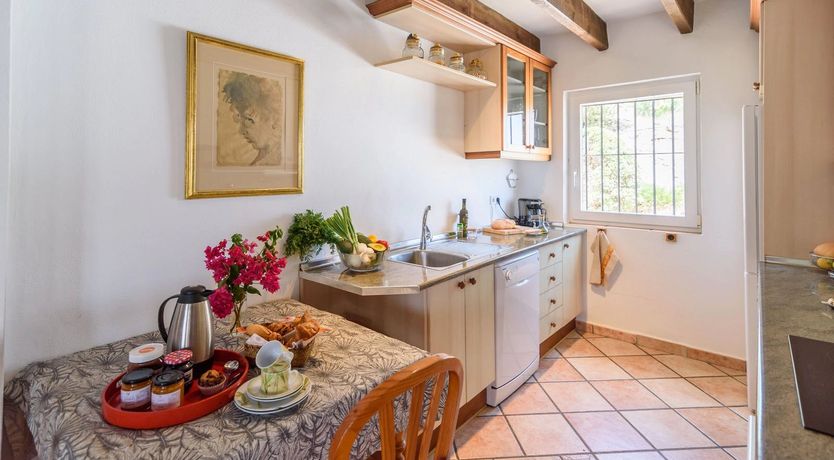 Photo of The Vine of the Mountain