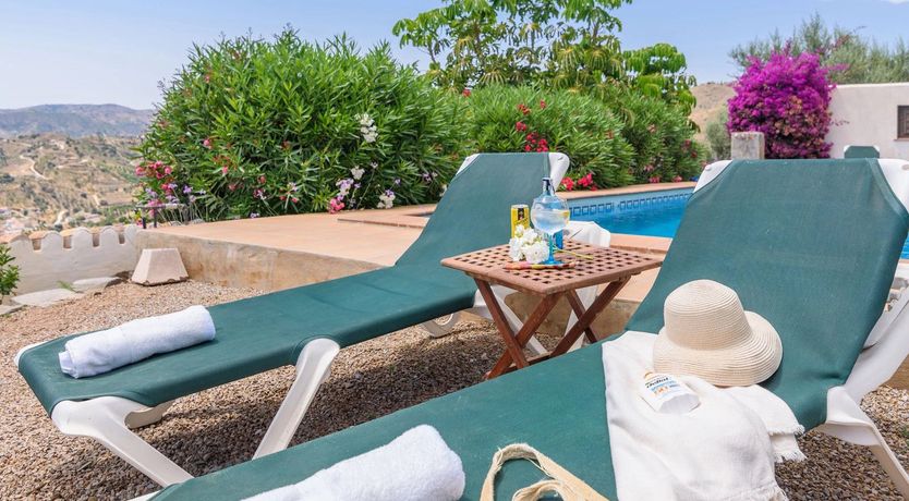 Photo of The Vine of the Mountain