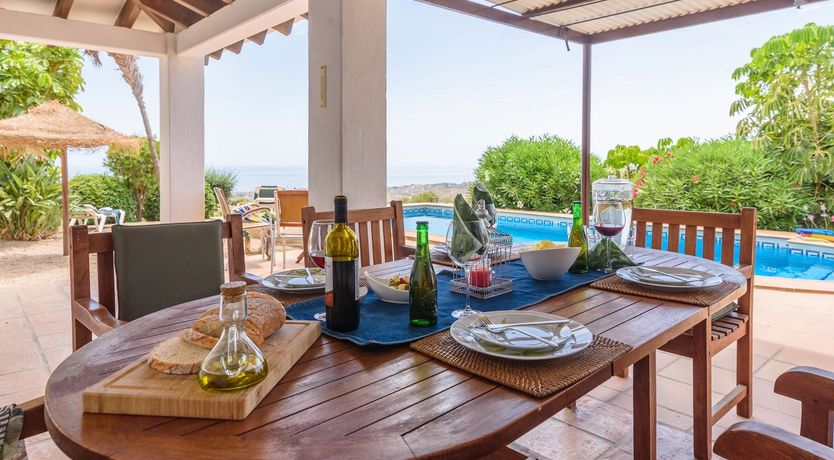 Photo of The Vine of the Mountain