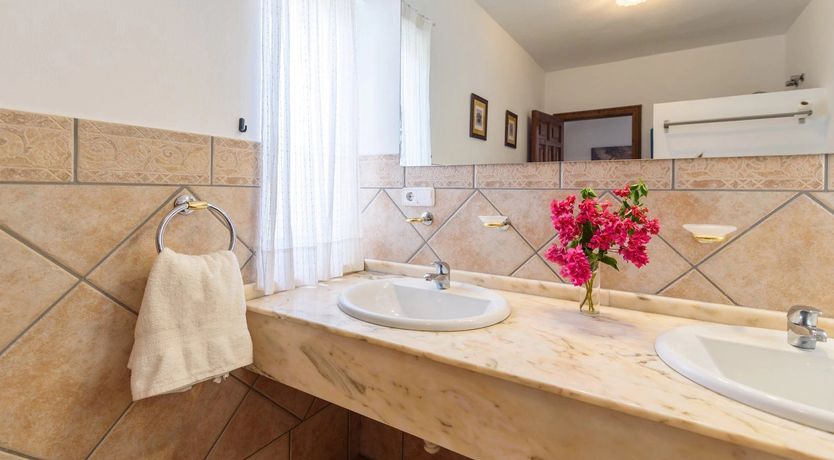 Photo of The Vine of the Mountain