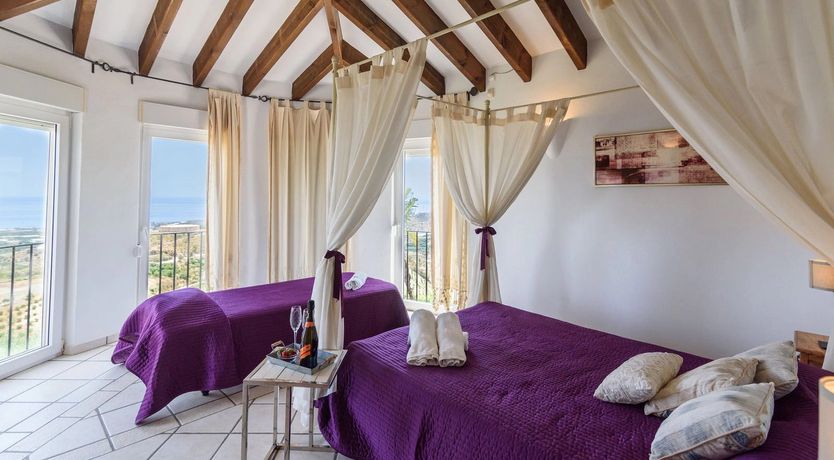 Photo of The Vine of the Mountain