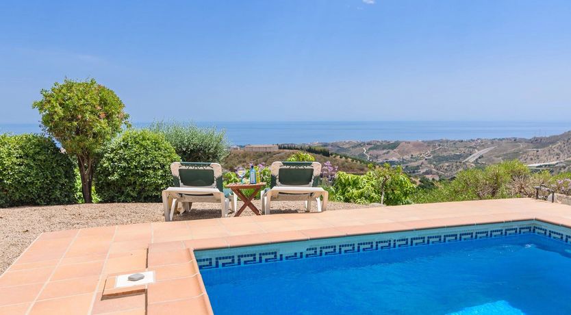 Photo of The Vine of the Mountain