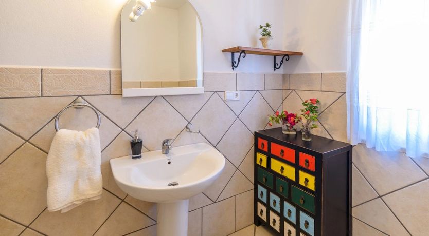 Photo of The Vine of the Mountain