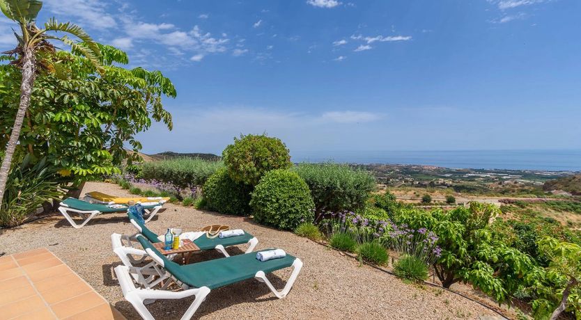 Photo of The Vine of the Mountain