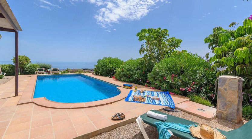 Photo of The Vine of the Mountain