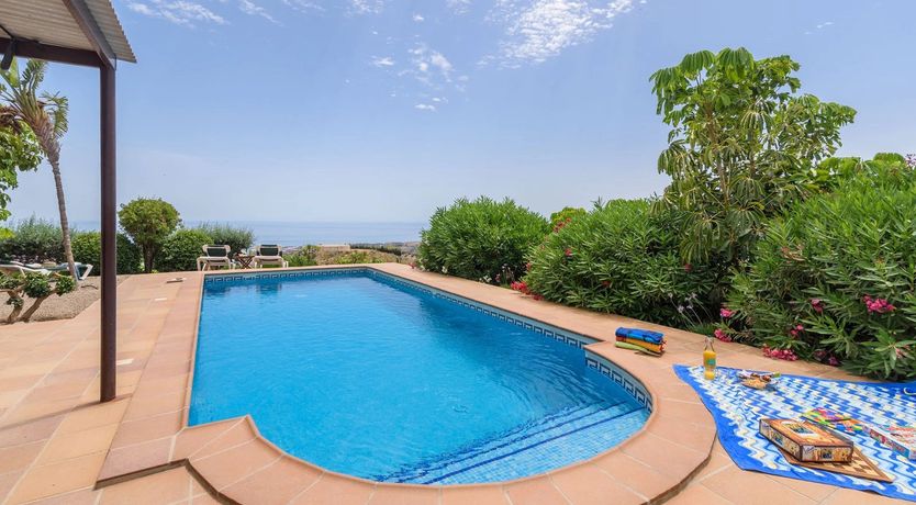 Photo of The Vine of the Mountain